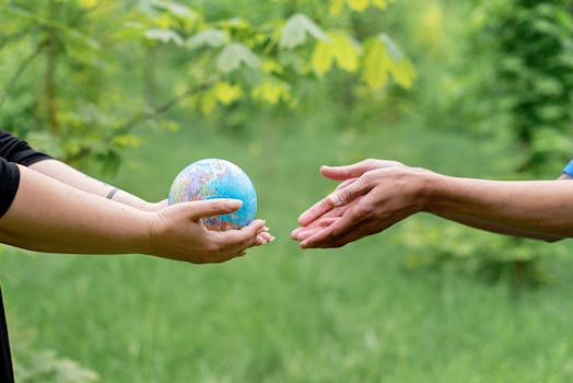 A globe showing international connections