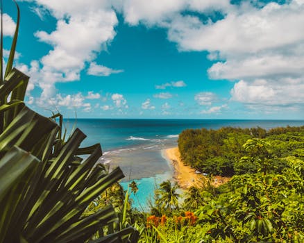 scenic view of a remote beach